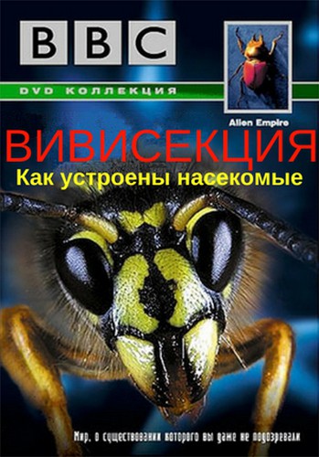 Вивисекция. Как устроены насекомые (2013)