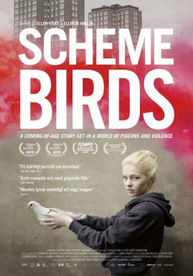 Scheme Birds (2019)