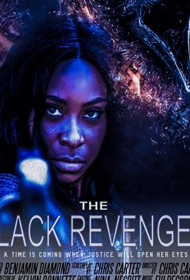 The Black Revenger ()