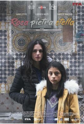 Rosa pietra stella (2020)